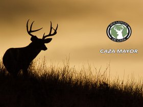 Caza Mayor