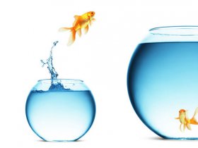 Self Development