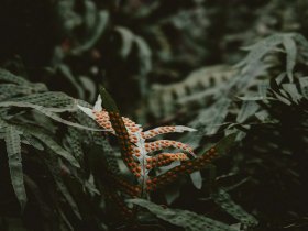 Tingkatkan Keberuntungan Anda di DEWABET
