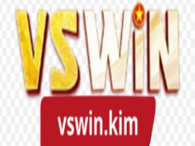 VSWIN