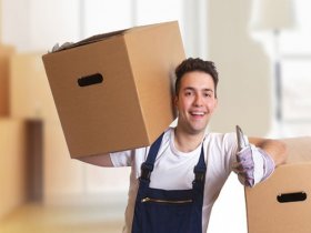 Ways To Make Moving With Dogs Easier