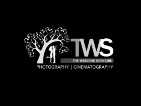 Wedding Highlights